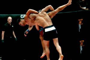 hi-res-81b85aa2ac0af2965a1c8e89b4925151_crop_north