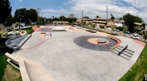 DSC5321