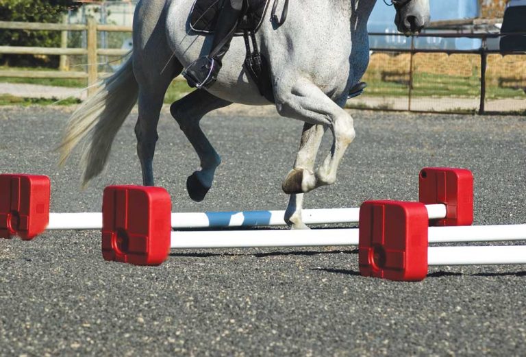 Jumping To Success Plastic Horse Jumps And Their Benefits Coop The Game